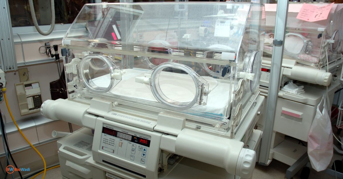 Baby Incubator